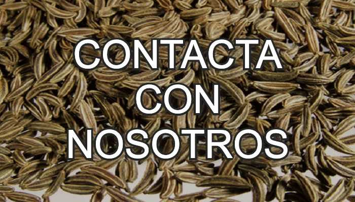 Contacta con alcaravea.info