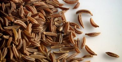 semillas de alcaravea