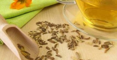 usos de la alcaravea para qué sirve